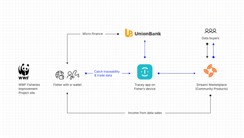 What are Data Unions? How do they work? Which ones can I use?